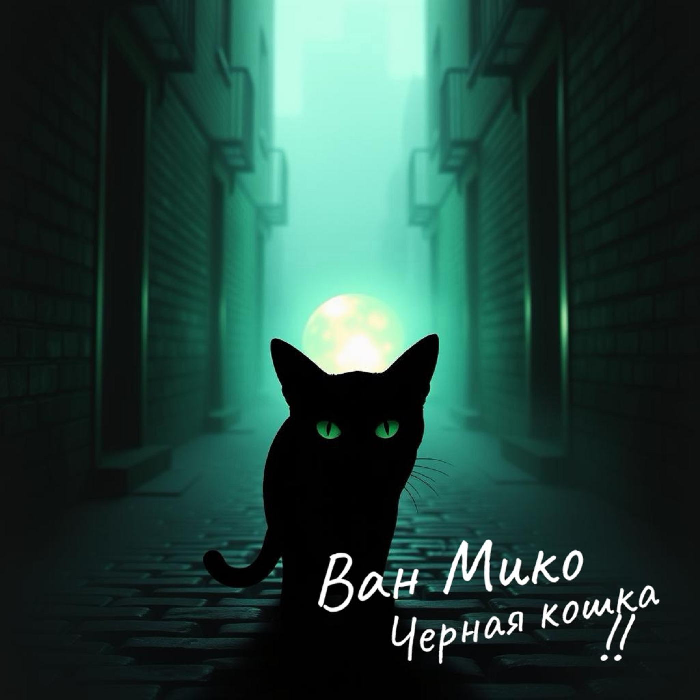 Чёрная кошка